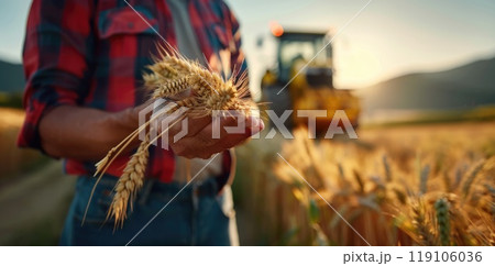 Field of plenty - harvesting wheat with tractors, illustrating dedication of farmers, golden spikes of wheat, crucial role of modern machinery in sustaining agricultural productivity 119106036