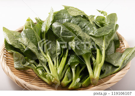 筒菜　（空芯菜）宮城県産 119106107