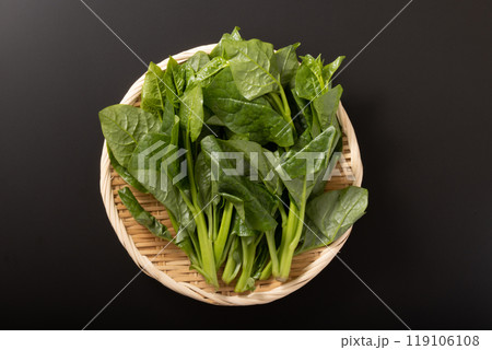 筒菜　（空芯菜）宮城県産 119106108