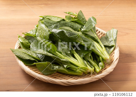 筒菜　（空芯菜）宮城県産 119106112