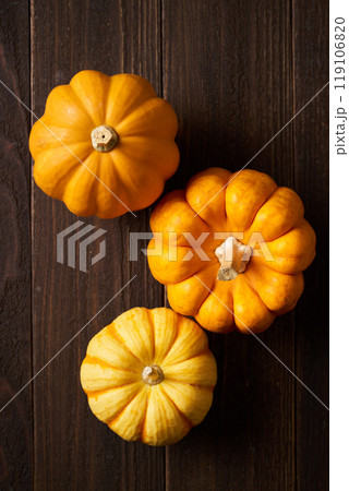 ハロウィン　飾り用かぼちゃ 119106820