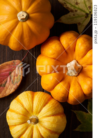 ハロウィン　飾り用かぼちゃ 119106823