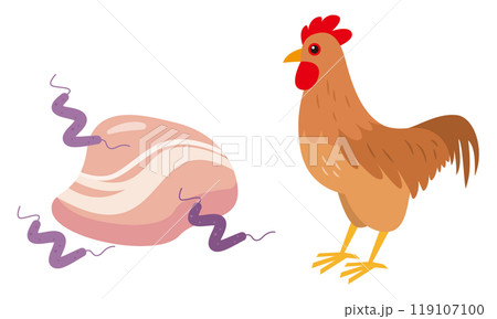 カンピロバクターと鶏肉のイラスト 119107100