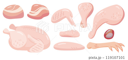 鶏肉生肉のイラストセット 119107101