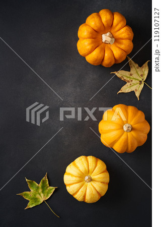 ハロウィン イメージ ハロウィン イメージ 119107127