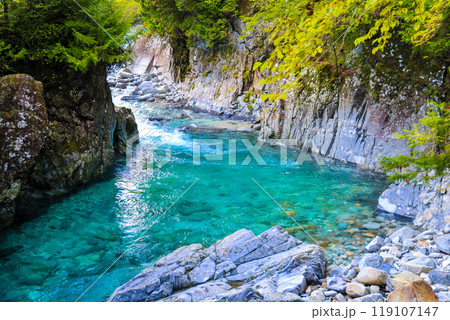 犬帰りの淵と岩肌 119107147