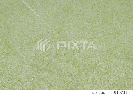 ビビッド感をもつ和紙の背景素材(レタス・グリーン) ビビッド感をもつ和紙の背景素材(レタス・グリーン) 119107313