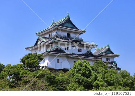 紀州 和歌山城の大天守と小天守 紀州 和歌山城の大天守と小天守 119107523