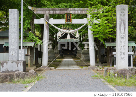 金村別雷神社　鳥居　茨城県つくば市上郷 119107566