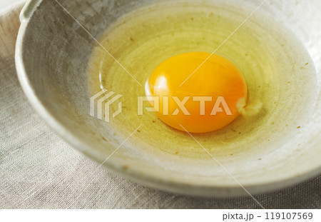 生卵(赤玉) 119107569