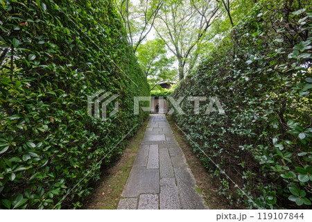 将軍塚青龍殿の庭園(京都府京都市山科区) 将軍塚青龍殿の庭園(京都府京都市山科区) 119107844