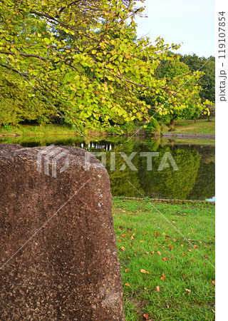 秋の色づき始め　大池湖畔　城山公園　桶川市　　 119107854