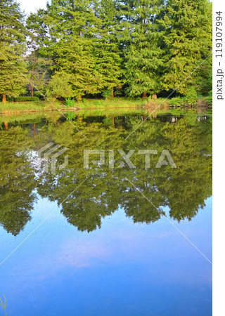秋の色づき始め 水鏡 大池湖畔 城山公園 桶川市 秋の色づき始め 水鏡 大池湖畔 城山公園 桶川市 119107994