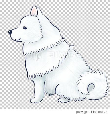 A hand-drawn illustration of a sitting Samoyed 119108172