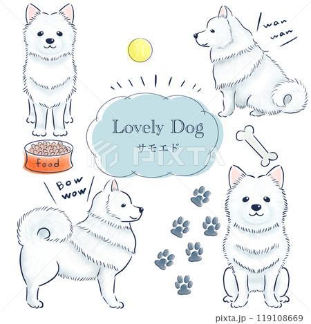 サモエドの色鉛筆の手描きイラストセット 119108669
