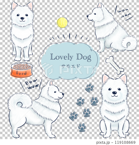 サモエドの色鉛筆の手描きイラストセット 119108669