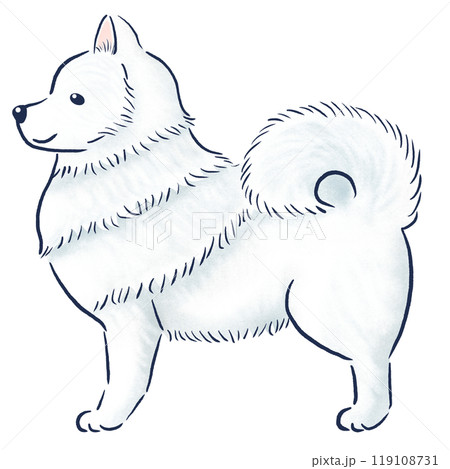 立っているサモエド横向き水彩風の手描きイラスト 119108731