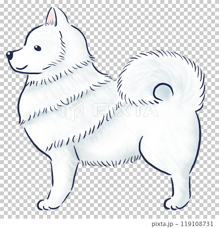 立っているサモエド横向き水彩風の手描きイラスト 119108731