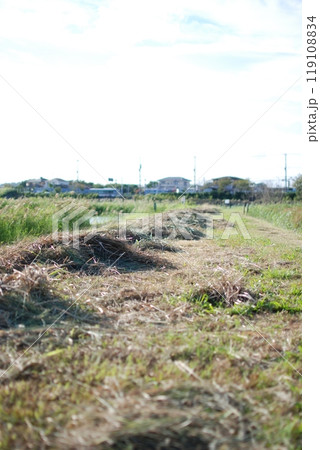 秋 干し草 秋 干し草 119108834