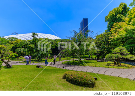 東京　文京区にある小石川後楽園（新緑と東京ドーム） 119108973
