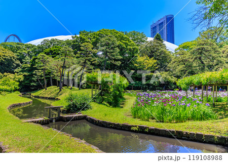 東京　文京区にある小石川後楽園（神田上水跡) 119108988
