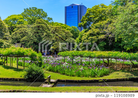 東京　文京区にある小石川後楽園（神田上水跡) 119108989