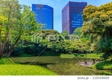 東京　文京区にある小石川後楽園（大泉水） 119109000