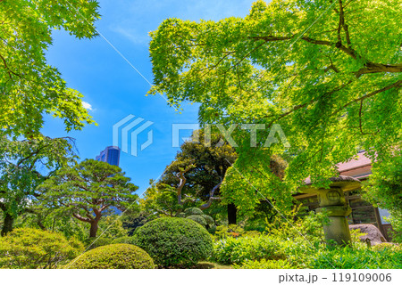 東京 文京区にある小石川後楽園(新緑と涵徳亭) 東京 文京区にある小石川後楽園(新緑と涵徳亭) 119109006