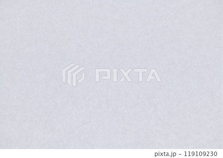 ビビッド感をもつ和紙の背景素材(明灰色) ビビッド感をもつ和紙の背景素材(明灰色) 119109230