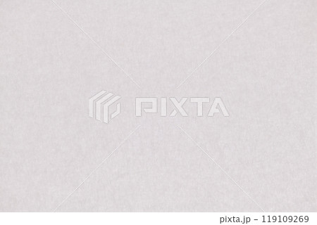 ビビッド感をもつ和紙の背景素材（白練） 119109269