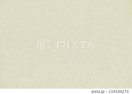 ビビッド感をもつ和紙の背景素材（雲母） 119109273
