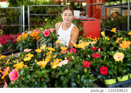 Girl walks through exhibition of ornamental plants, examines hibiscus in showcase 119109625