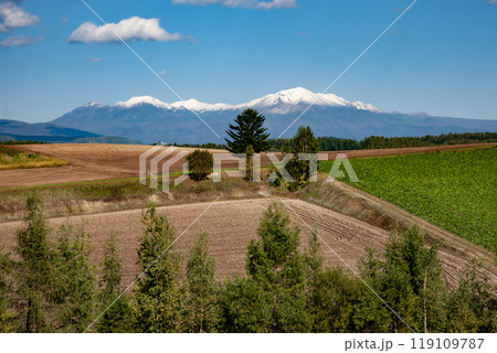 麦畑の丘と大地 麦畑の丘と大地 119109787