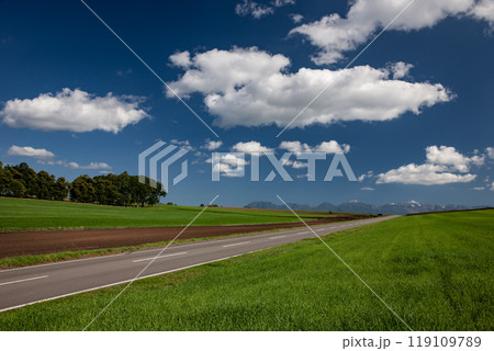 麦畑の丘と大地 119109789