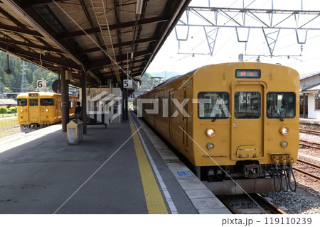 新見駅に停車中の伯備線115系電車(米子行・岡山行) 新見駅に停車中の伯備線115系電車(米子行・岡山行) 119110239
