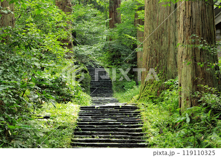 鶴岡市 羽黒山出羽三山神社 一の坂 鶴岡市 羽黒山出羽三山神社 一の坂 119110325