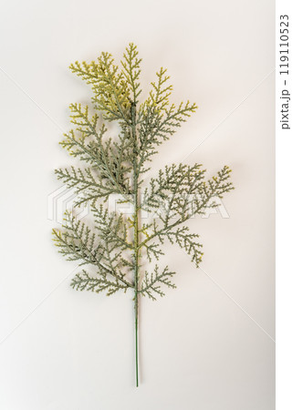 Fake fir tree branch for decorating of bouquets and home 119110523