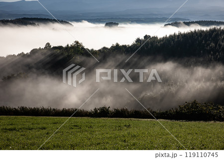 美しい朝霧の丘と大地 119110745