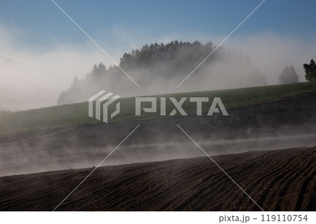 美しい朝霧の丘と大地 119110754