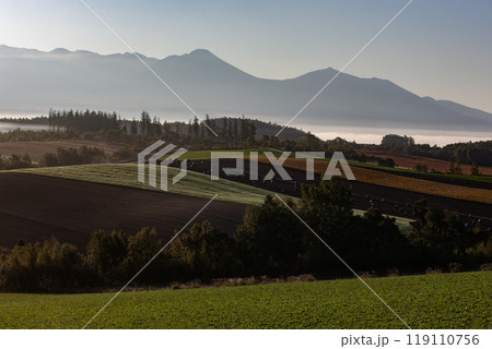 美しい朝霧の丘と大地 119110756