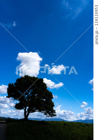 田舎の風景と夏の空のコピースペース 119110953