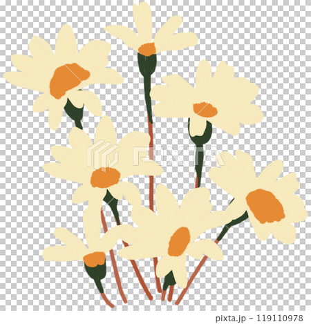 flowers 119110978