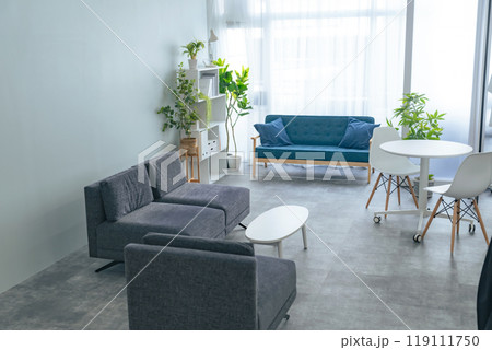 ソファーのあるモダンなインテリア 119111750