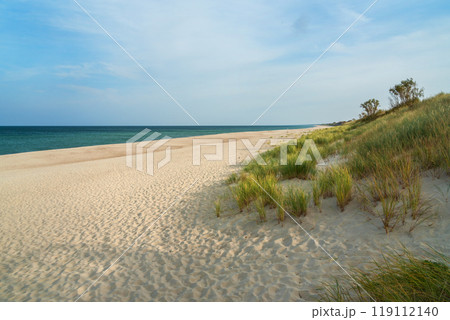 Long white sand beach in the Curonian Spit National Park. Kaliningrad region. Russia 119112140