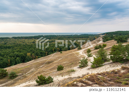 View of Cape from observation deck on Olenya Buda dunes. Curonian Spit National Park. Russia View of Cape from observation deck on Olenya Buda dunes. Curonian Spit National Park. Russia 119112141