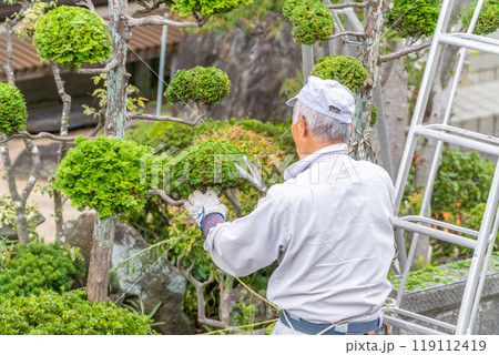 働く高齢者　地域社会に　貢献　庭木の剪定サービス 119112419