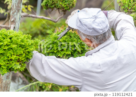 働く高齢者　地域社会に　貢献　庭木の剪定サービス 119112421