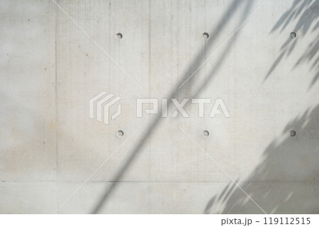 打ちっ放しのコンクリート壁 樹木などの影のある背景　a-1-2 カラー 119112515