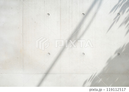 打ちっ放しのコンクリート壁 樹木などの影のある背景　a-1-3 カラー明るめ 119112517