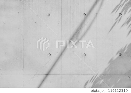 打ちっ放しのコンクリート壁 樹木などの影のある背景　a-2-2 モノクロ 119112519
